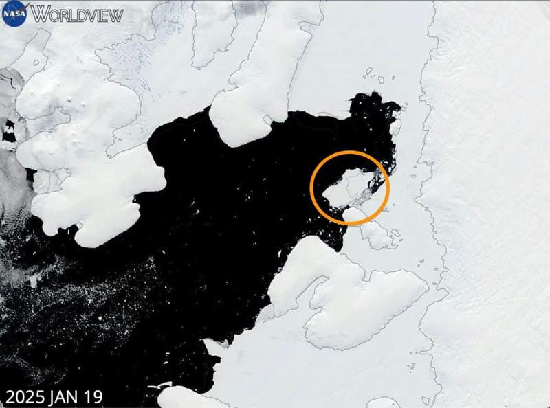 Image from: After a Giant Iceberg Broke Away, Scientists Found a Long-Sealed Marine World Under Antarctica