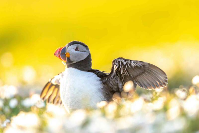 Image from: The UK’s ocean health report card is damning, and protected areas aren’t enough