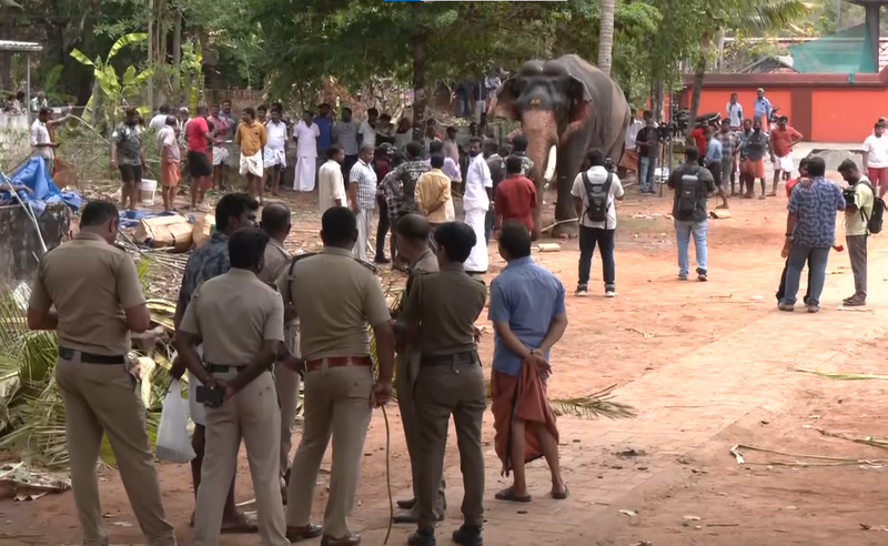 Image from: Keralam: Elephant brought for temple festival runs amok near Angamaly; one killed, mahout injured