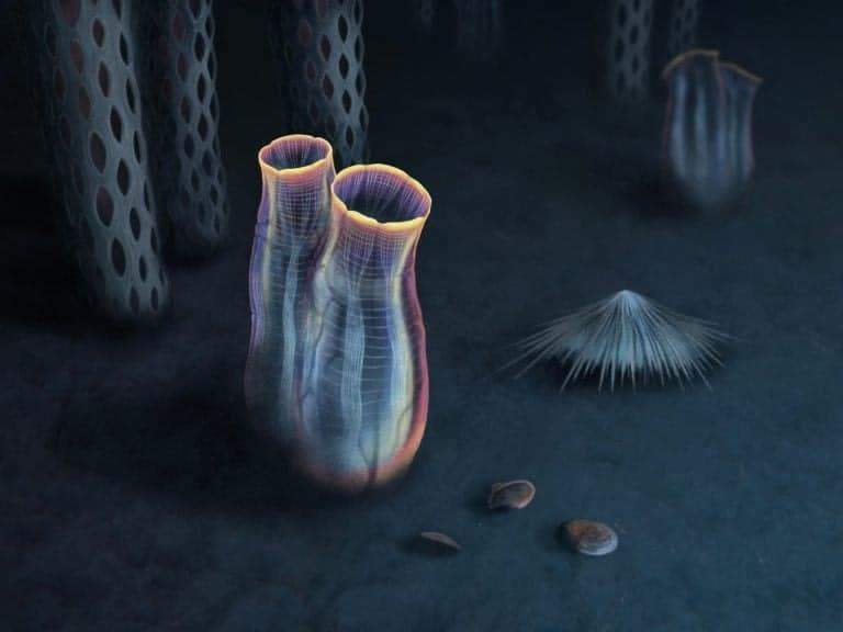 Image from: Scientists Found an Exceptionally Preserved Fossil in Utah. Then Noticed Something No One Expected