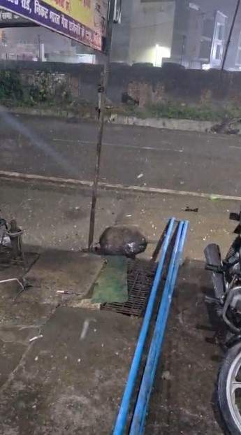 Image from: Uttarakhand: Khatima witnesses heavy rain, IMD issues Orange Alert