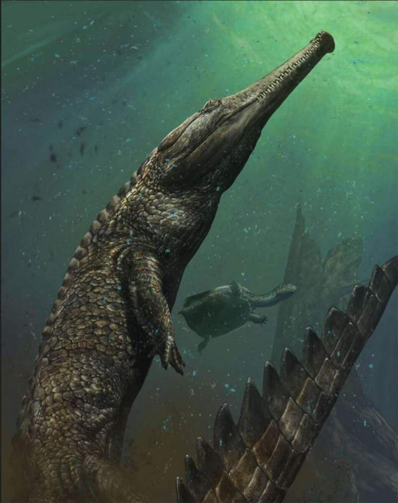 Image from: Buried Just Inches Beneath Tunisia’s Sahara Sands, a Fully Intact 10-Meter-Long Sea Crocodile Fossil Has Been Found