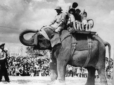 Image from: Indian children's 'jumbo' gift that brought joy to Japan post World War 2
