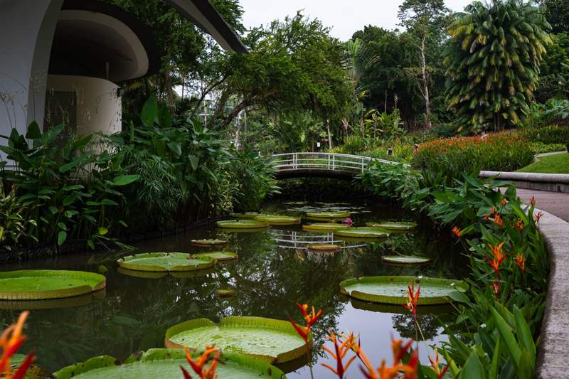 Image from: These are the 10 greenest cities in the world—ideal if you’re looking for a city escape immersed in nature