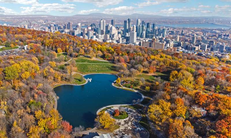 Image from: These are the 10 greenest cities in the world—ideal if you’re looking for a city escape immersed in nature