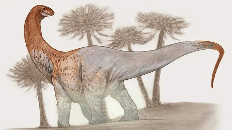 Image from: Scientists Uncover a 100-Foot Dinosaur Fossil So Heavy It Cracked the Road Beneath During Transport