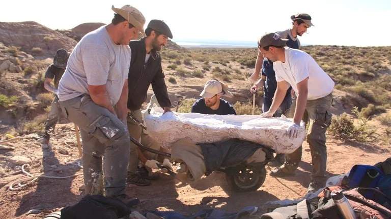Image from: Scientists Uncover a 100-Foot Dinosaur Fossil So Heavy It Cracked the Road Beneath During Transport