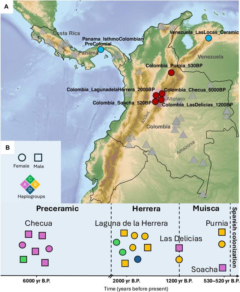 Image from: Hidden In The Mountains Of Colombia, Scientists Have Found 6,000-year-old Human Remains That Doesn’t Match Any Known Population