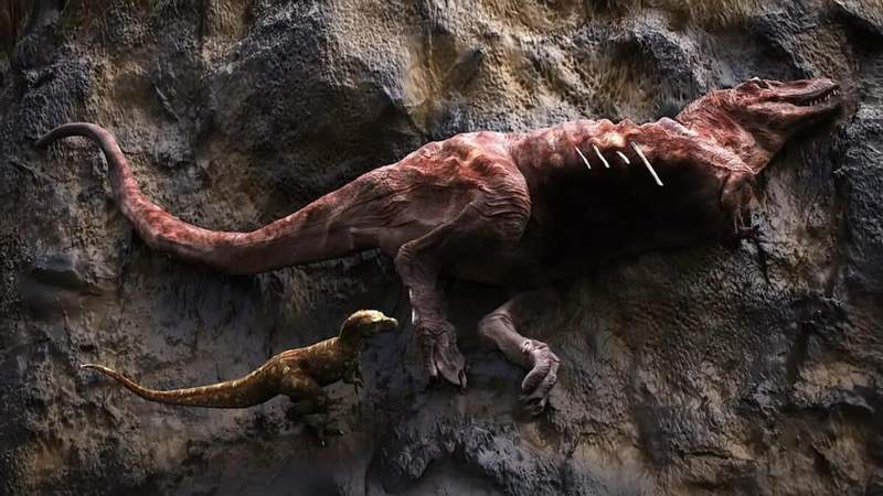 Image from: A Student Found 16 Bite Marks On A Fossil And Confirmed That Tyrannosaurs Didn’t Just Hunt Prey, They Turned on Each Other