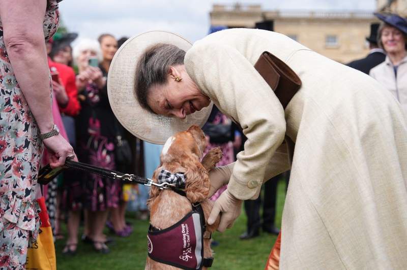 Image from: Surprise guest takes centre stage at Buckingham Palace garden party