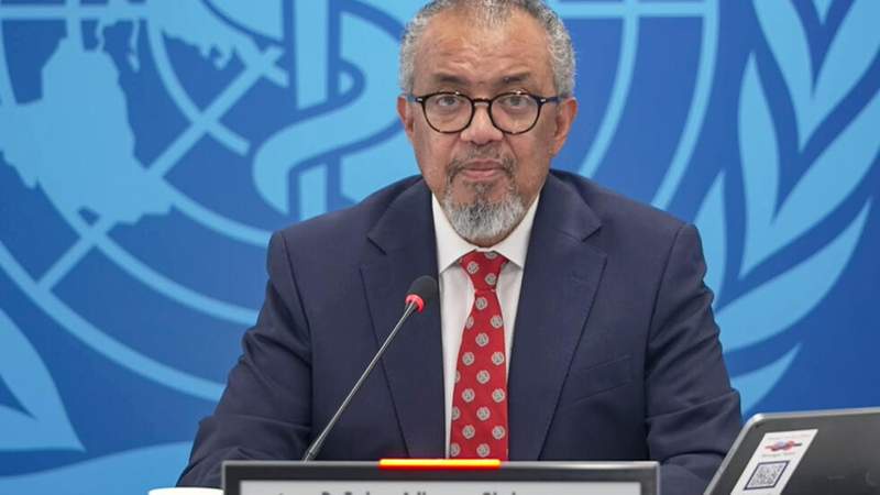 Image from: WHO warns of more hantavirus cases in 'limited' outbreak