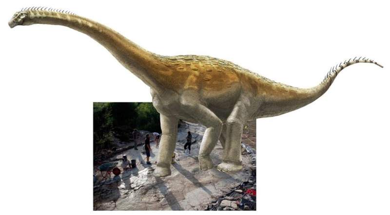 Image from: Scientists Have Just Uncovered the World’s Longest Dinosaur Footprint Trail Still Well-Preserved in French Rock