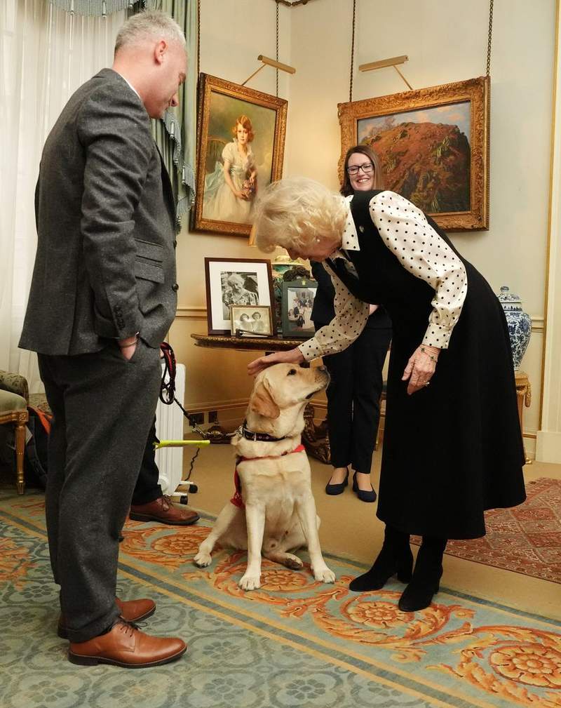 Image from: Queen Camilla to host special event to celebrate Medical Detection Dogs