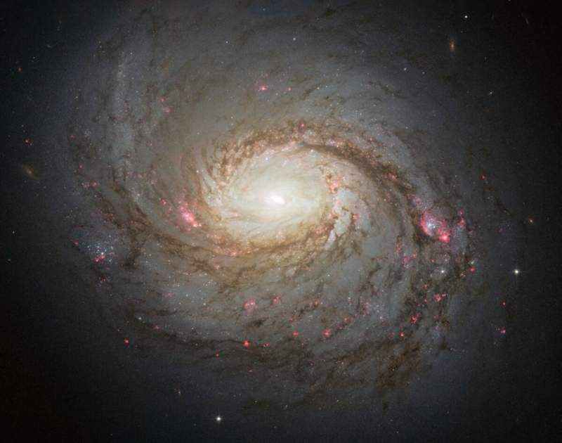 Image from: 45 Million Light-Years Away, Scientists Finally Captured the Violent Heart of a Galaxy Being Consumed by Its Own Black Hole