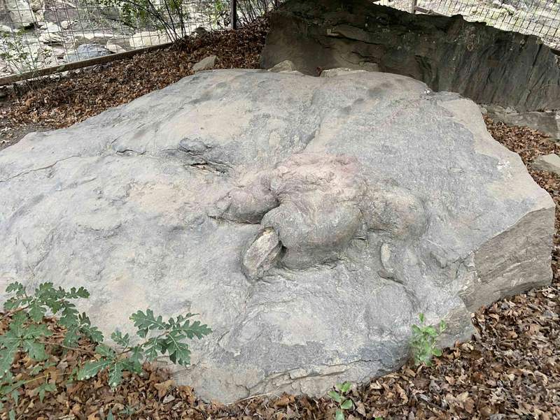 Image from: What it would have been like to experience the dinosaur-killing asteroid armageddon: a blow-by-blow account