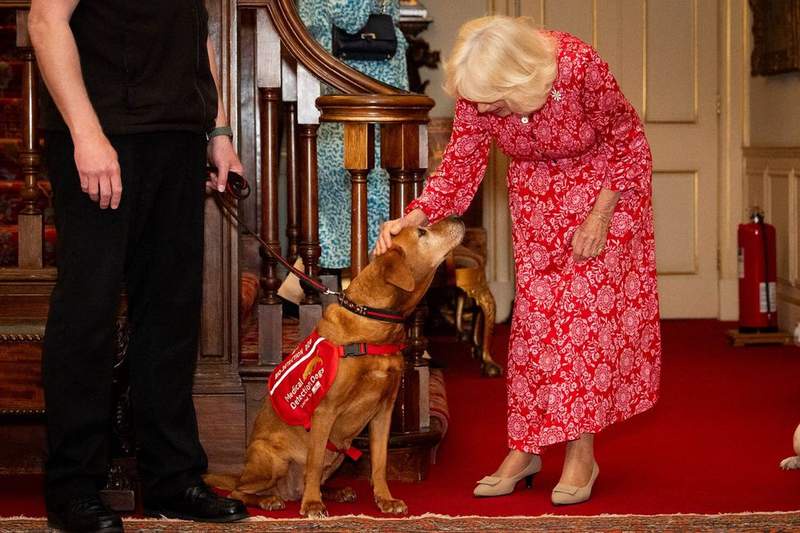 Image from: Queen Camilla chats with the Princess of Wales's brother during reception at royal residence
