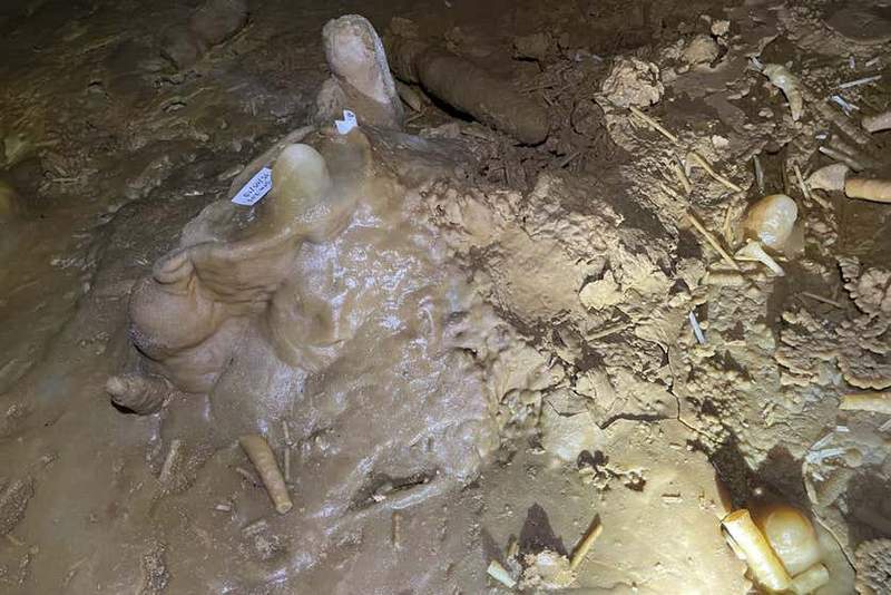 Image from: Scientists May Have Found a 175,000-Year-Old Kneeprint Deep Inside a French Cave, and It Wasn’t Made by an Animal