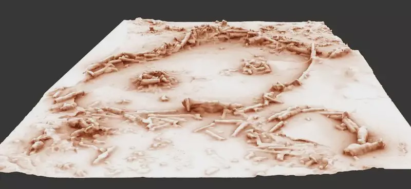 Image from: Scientists May Have Found a 175,000-Year-Old Kneeprint Deep Inside a French Cave, and It Wasn’t Made by an Animal