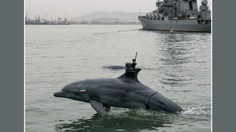 Image from: These images do not prove that Iran has unveiled kamikaze dolphin drones