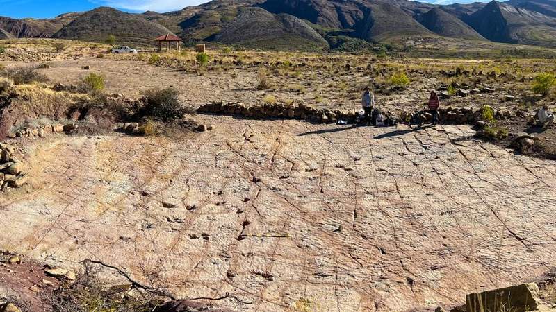 Image from: Scientists Found a Massive Dinosaur Footprint Site Around an Ancient Lake With Nearly 18,000 Tracks