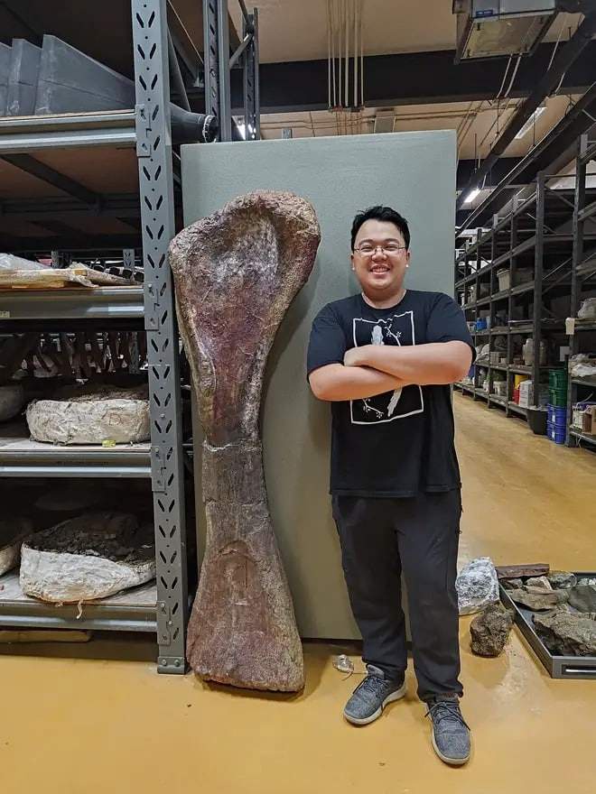 Image from: Scientists Dig Up A 90-foot Giant Dinosaur In Thailand That Could Crush Four Elephants