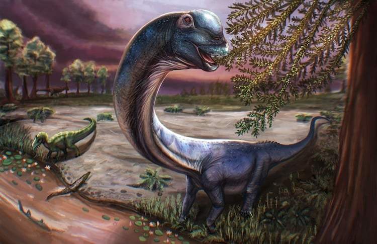 Image from: Scientists Dig Up A 90-foot Giant Dinosaur In Thailand That Could Crush Four Elephants