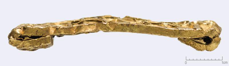 Image from: In Europe, a hiker recently discovered a rare 1,500-year-old gold ornament which shines a new light on pre-viking history