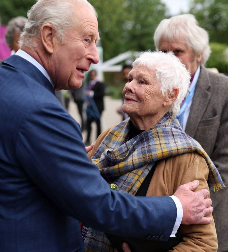 Image from: King Charles greets Judi Dench and Sir David Beckham as surprise guest steals Chelsea Flower Show