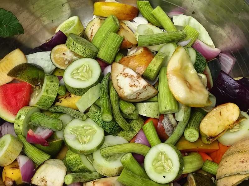 Image from: Beat the heat: Lucknow Zoo rolls out coolers, sprinklers, and fruit diets as temperatures soar