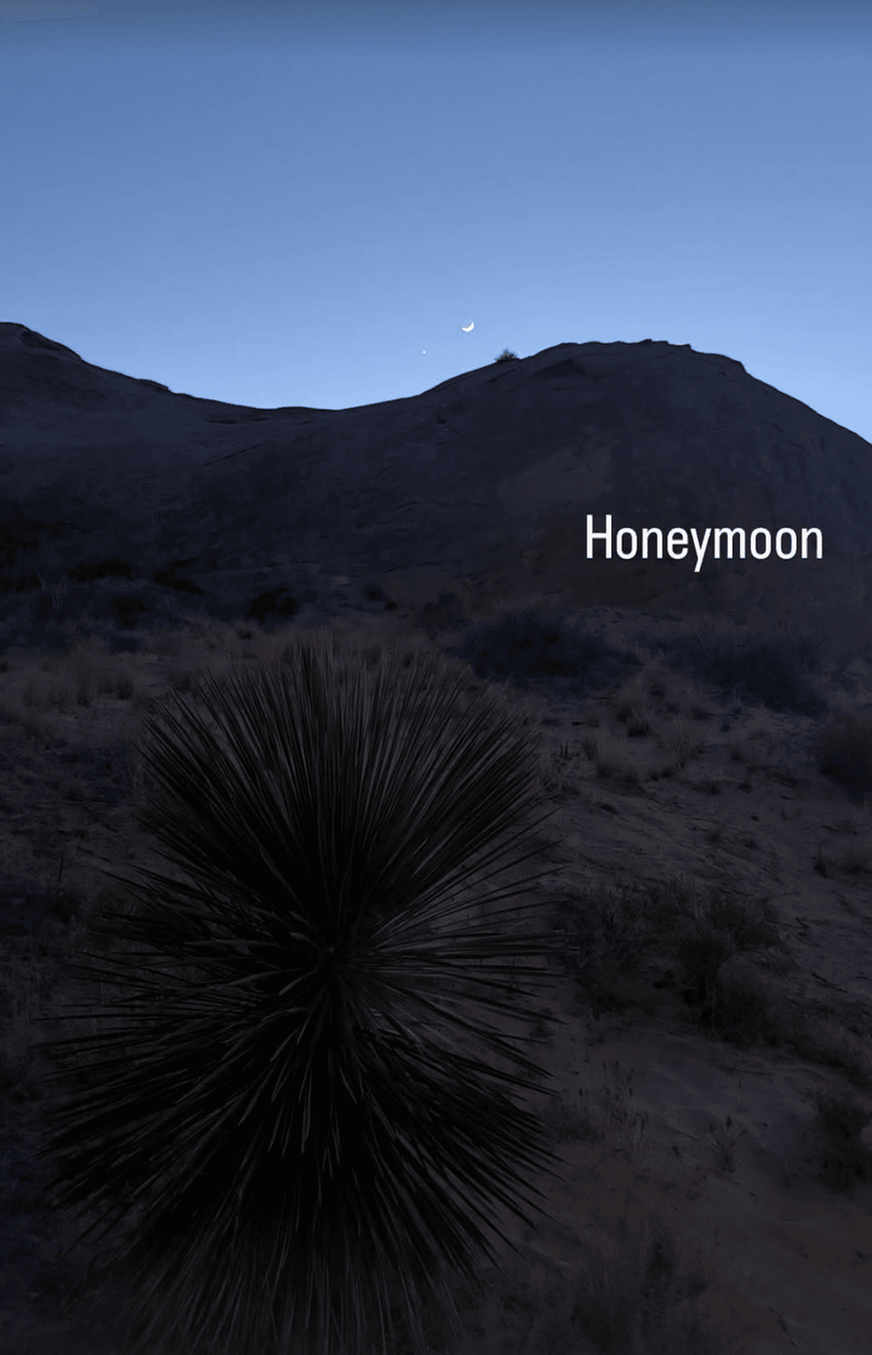 Image from: Earl Spencer shares heartwarming snaps of desert honeymoon in Arizona