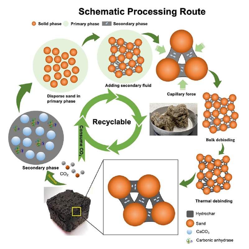 Image from: While Concrete Drains Energy and Cement, Scientists Created a Building Material That Uses an Enzyme to Turn Co₂ Into Stone-Like Minerals in Just Hours