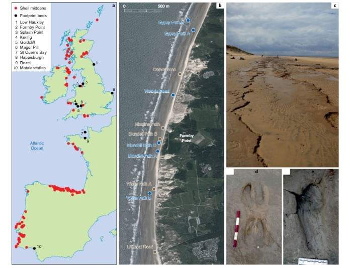 Image from: Archaeologists Uncover A Forgotten Superhighway Covered With 8,000-year-old Human And Animal Footprints Along The UK Coast