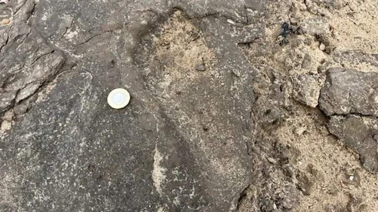 Image from: Archaeologists Uncover A Forgotten Superhighway Covered With 8,000-year-old Human And Animal Footprints Along The UK Coast