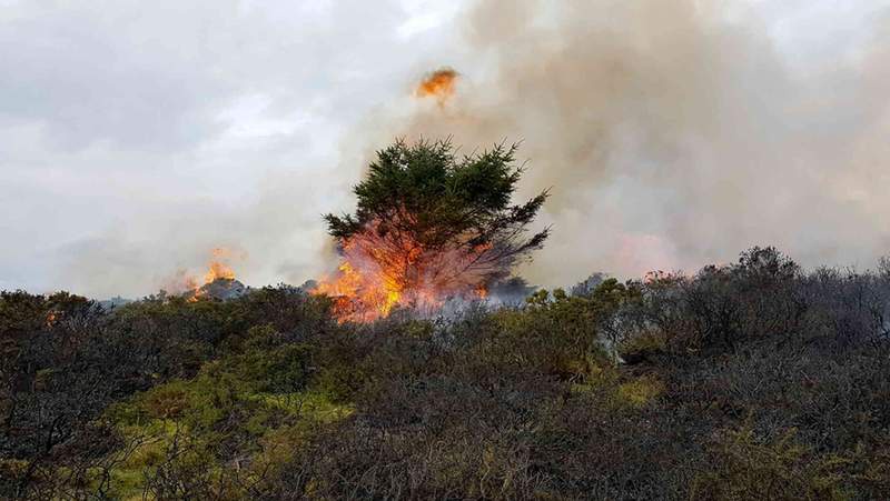 Image from: Wildfire risk is now spreading to cool climates like the Scottish Highlands and Irish uplands