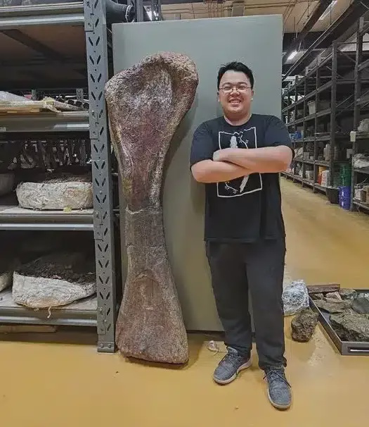 Image from: Strange Rocks Spotted Beside a Thai Pond in 2016 Turned Out to Be a 27-Tonne Dinosaur Giant from Deep Time
