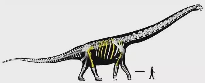 Image from: Strange Rocks Spotted Beside a Thai Pond in 2016 Turned Out to Be a 27-Tonne Dinosaur Giant from Deep Time