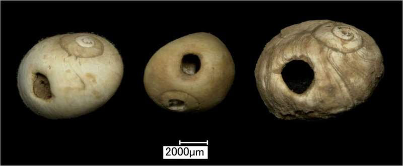 Image from: In An Ancient Cave, A Team Of Researchers Discovered Jewelry And The Bones 11,000 Years Ago