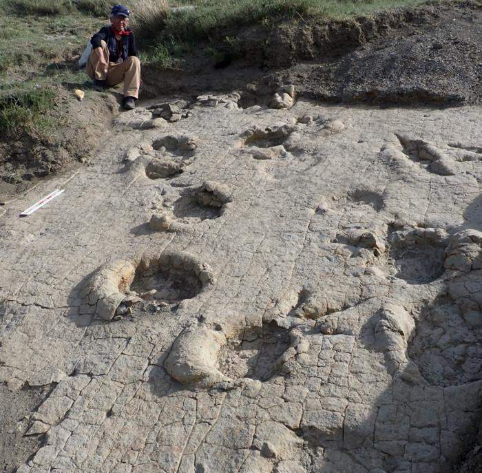 Image from: Giant Dinosaur Footprints in Mongolia Reveal a Lost Predator-And-Prey Scene Sealed Away for 120 Million Years