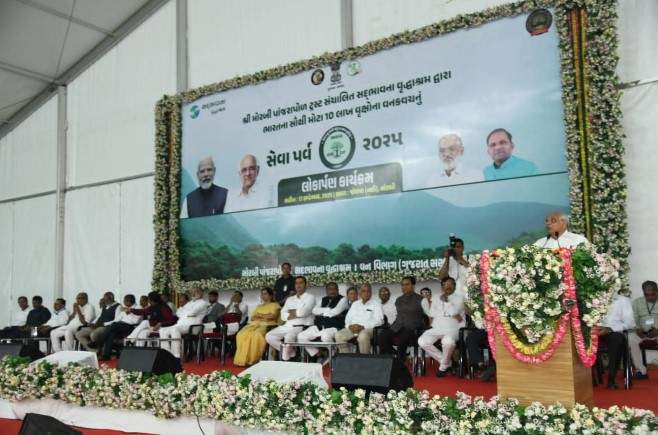 Image from: Million trees transform Gujarat's ceramic town Morbi into green oasis