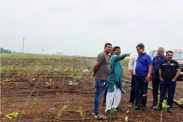 Image from: Million trees transform Gujarat's ceramic town Morbi into green oasis
