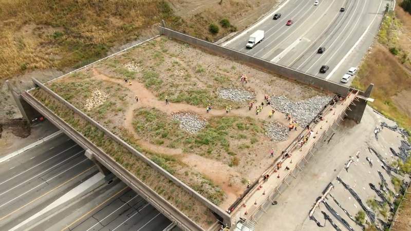 Image from: After Years of Work, the World’s Biggest Animal Overpass Finally Has an Opening Date