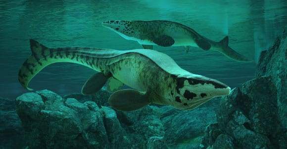 Image from: Paleontologists Discovered a 43-Foot-Long Ocean Predator Hidden in Museum Collections