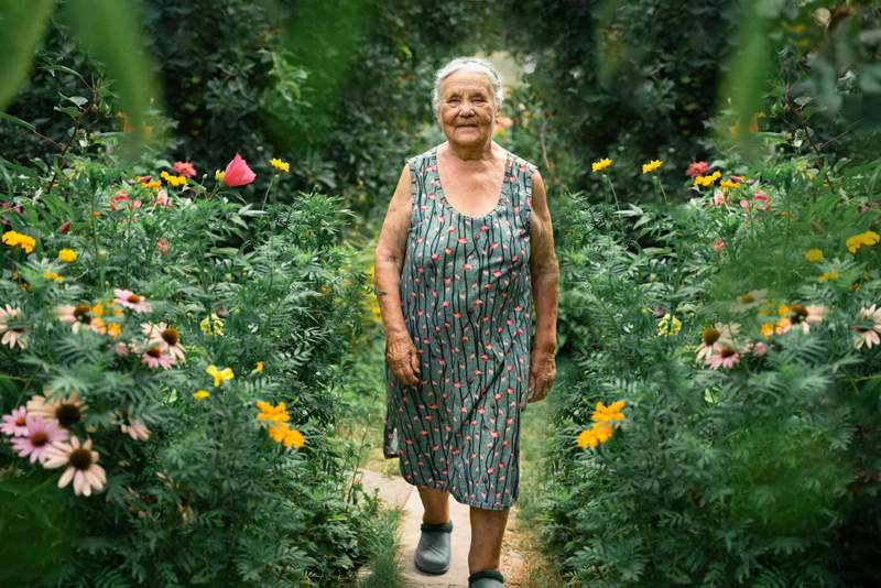 Image from: Ageing with purpose: the surprising science of frailty reversal