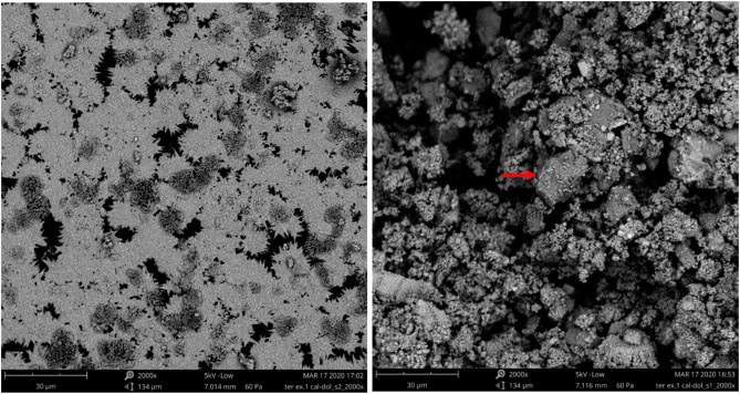 Image from: Archaeologists Found a 10,000-Year-Old Plaster Technology Near Jerusalem That Should Not Have Existed Until Roman Times