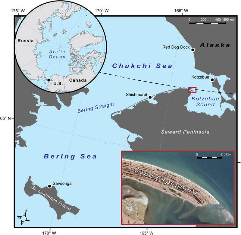 Image from: Archaeologists Excavated a 1,000-Year-Old House in Alaska and Found a Bronze Object That Shouldn’t Have Been There