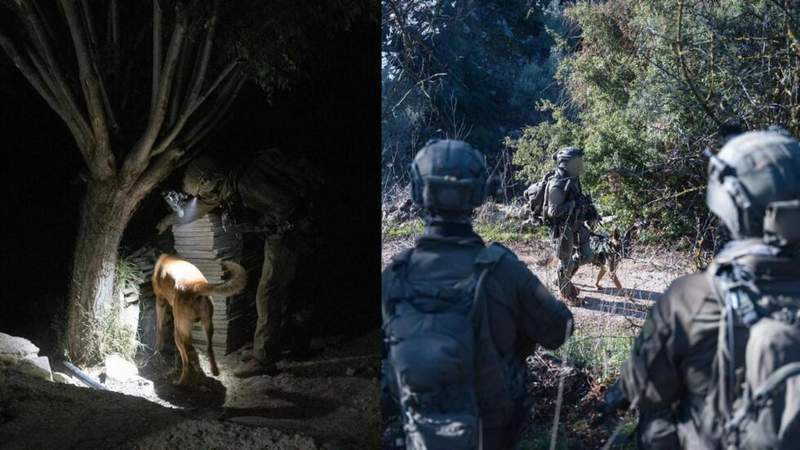 Image from: Witnesses accuse the Israeli army of arbitrary arrests in Syria