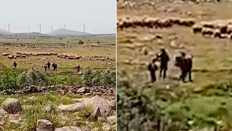Image from: Witnesses accuse the Israeli army of arbitrary arrests in Syria