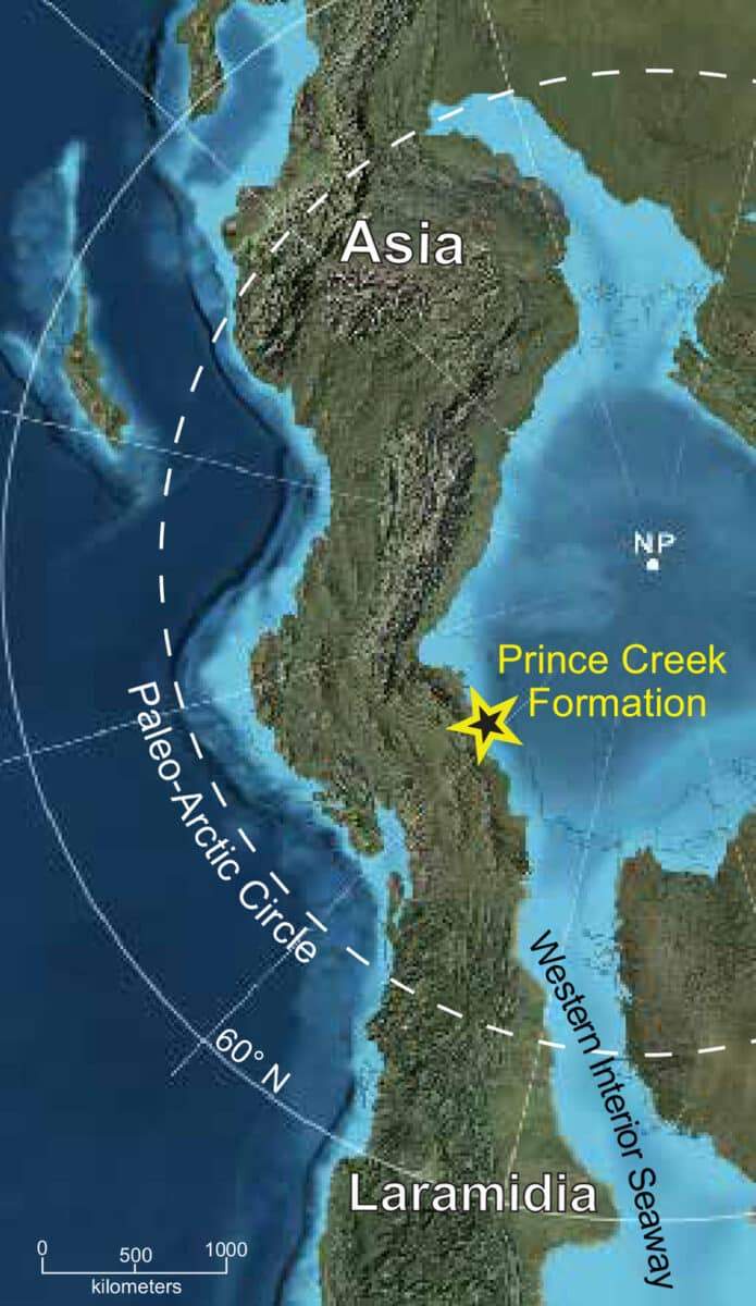 Image from: Ancient Teeth Found in Alaska Reveal the Arctic Was Creating New Mammal Species While Dinosaurs Still Ruled