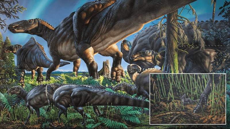 Image from: Ancient Teeth Found in Alaska Reveal the Arctic Was Creating New Mammal Species While Dinosaurs Still Ruled