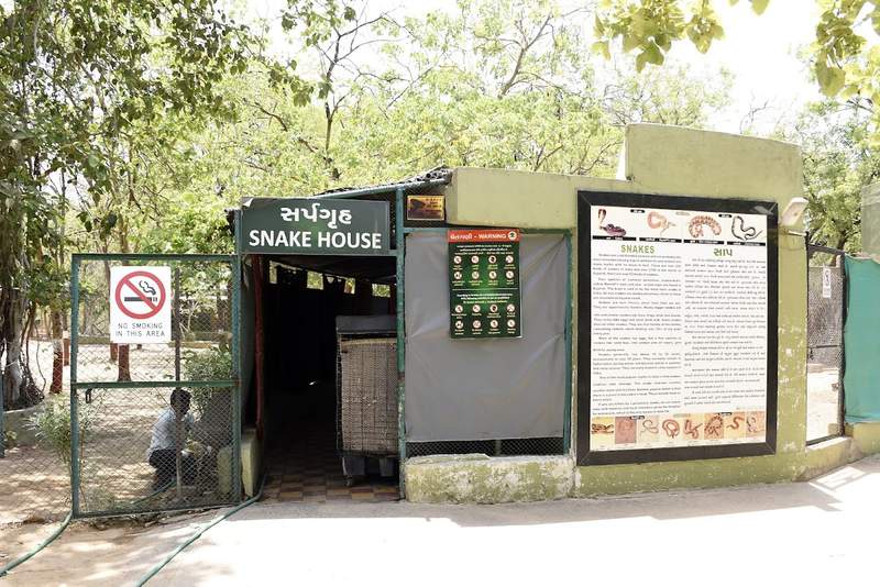 Image from: Coolers, sprinklers and special diets: Indroda Zoo protects animals from extreme heat